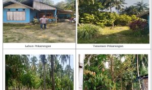 Bupati Donggala Dinilai Hambat Pembagian Lahan di Eks HGU PT Sapta Unggul